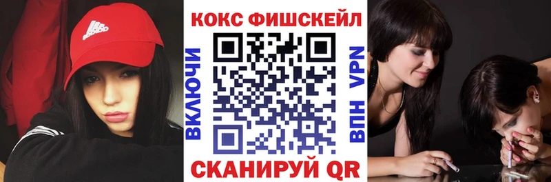цена наркотик  Нижнеудинск  Кокаин FishScale 