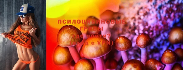 герыч Алзамай