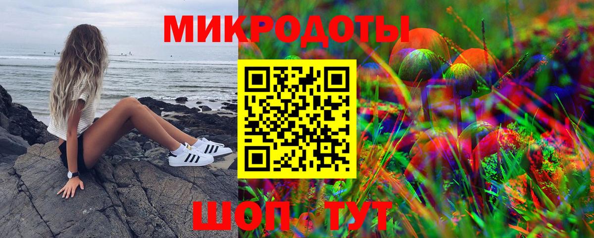 Псилоцибиновые грибы Psilocybine cubensis Нижнеудинск