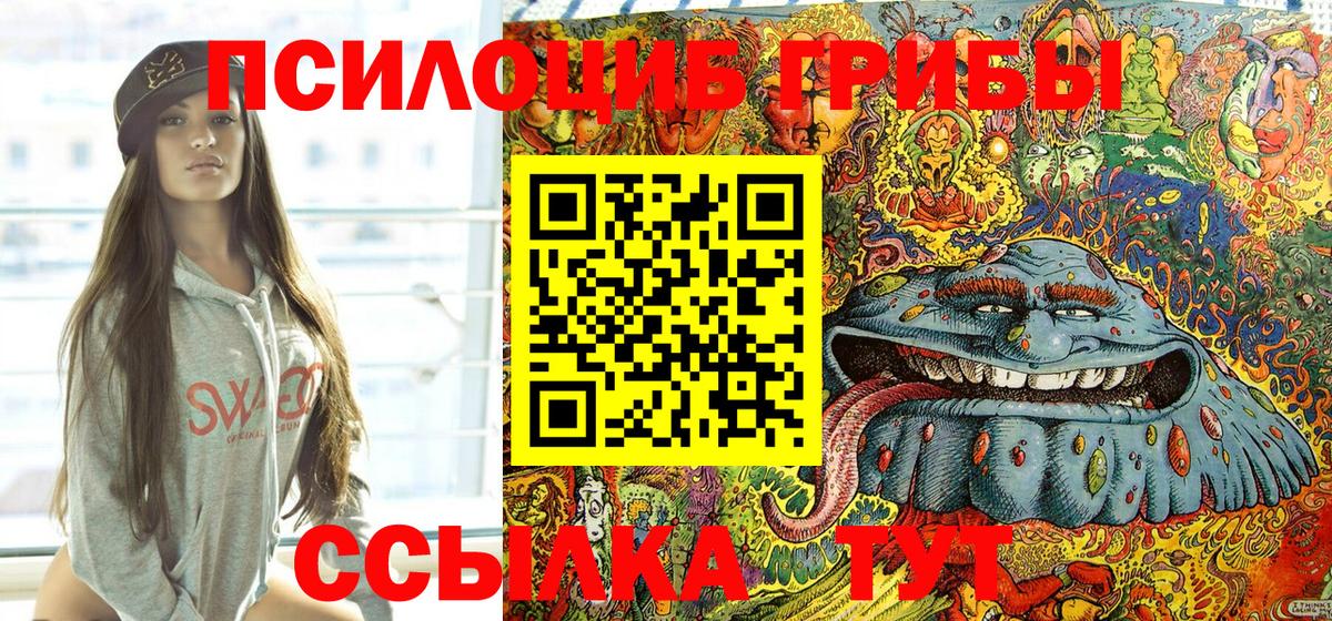 купить закладку  Вход с VPN  Нижнеудинск  Псилоцибиновые грибы прущие грибы 