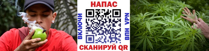 цена наркотик  Нижнеудинск  Шишки марихуана AK-47 